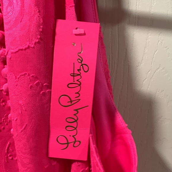 Lilly Pulitzer Dress - Picture 3 of 7